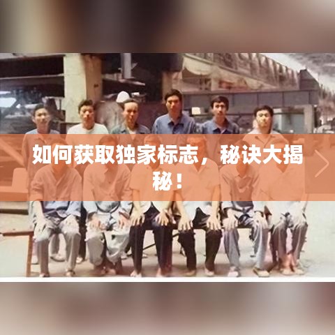 如何获取独家标志，秘诀大揭秘！