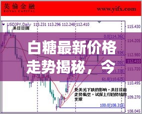 白糖最新价格走势揭秘，今日行情分析与市场趋势解读
