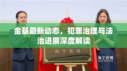 金基最新动态，犯罪治理与法治进展深度解读