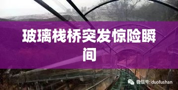 玻璃栈桥突发惊险瞬间