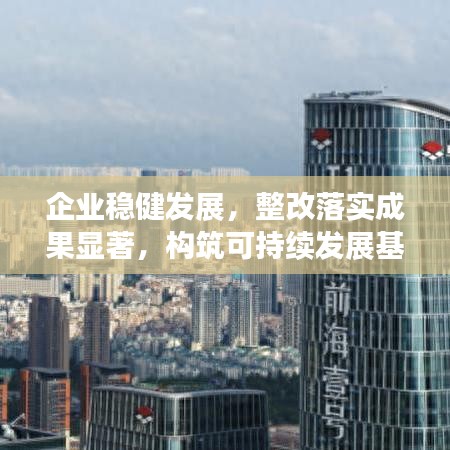 企业稳健发展，整改落实成果显著，构筑可持续发展基石