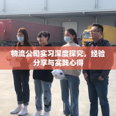 物流公司实习深度探究，经验分享与实践心得