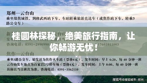 桂圆林探秘，绝美旅行指南，让你畅游无忧！