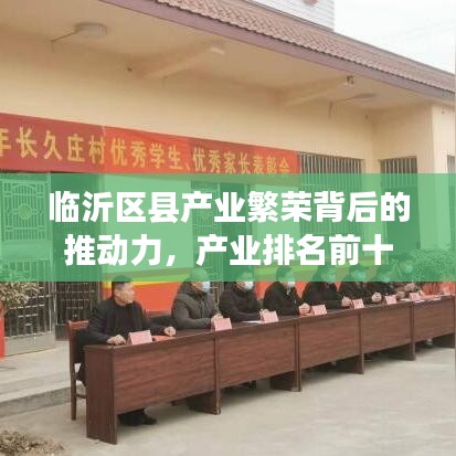 临沂区县产业繁荣背后的推动力，产业排名前十揭秘