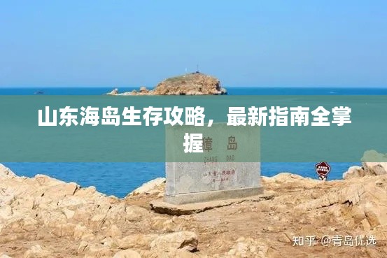 山东海岛生存攻略，最新指南全掌握