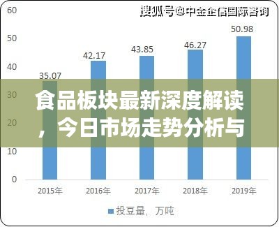 食品板块最新深度解读，今日市场走势分析与展望