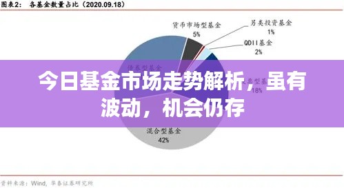今日基金市场走势解析，虽有波动，机会仍存