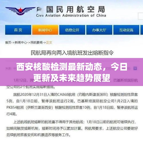 西安核酸检测最新动态，今日更新及未来趋势展望