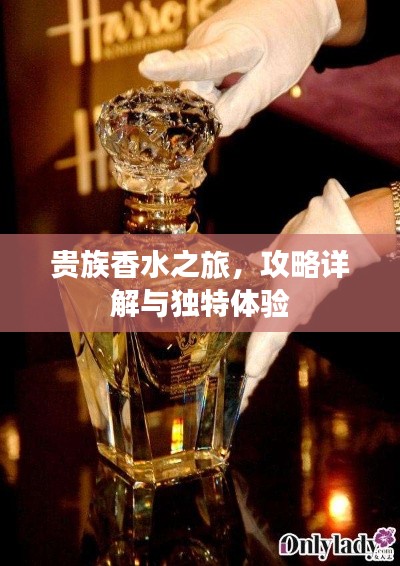 贵族香水之旅，攻略详解与独特体验