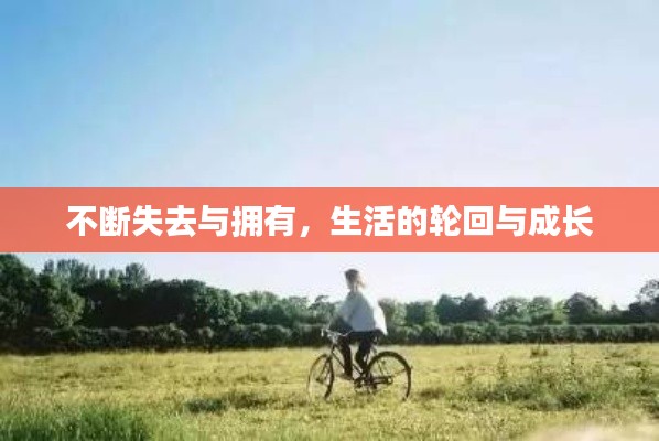 不断失去与拥有，生活的轮回与成长