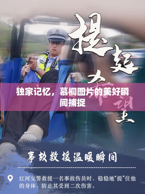 独家记忆，慕桐图片的美好瞬间捕捉