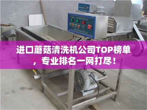 进口蘑菇清洗机公司TOP榜单，专业排名一网打尽！