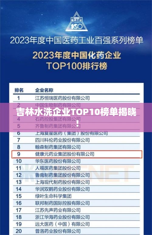 吉林水洗企业TOP10榜单揭晓！