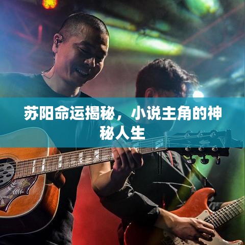 苏阳命运揭秘，小说主角的神秘人生