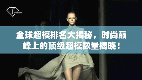 全球超模排名大揭秘，时尚巅峰上的顶级超模数量揭晓！