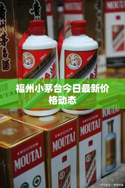 福州小茅台今日最新价格动态