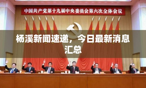 杨溪新闻速递，今日最新消息汇总