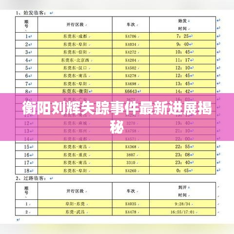 衡阳刘辉失踪事件最新进展揭秘