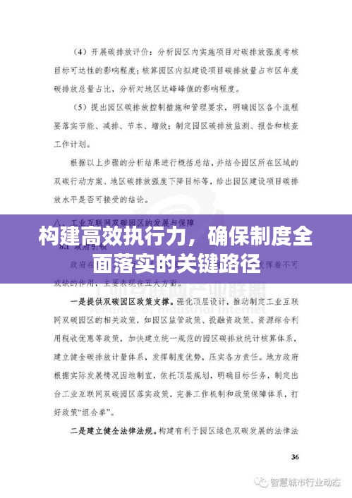 构建高效执行力，确保制度全面落实的关键路径