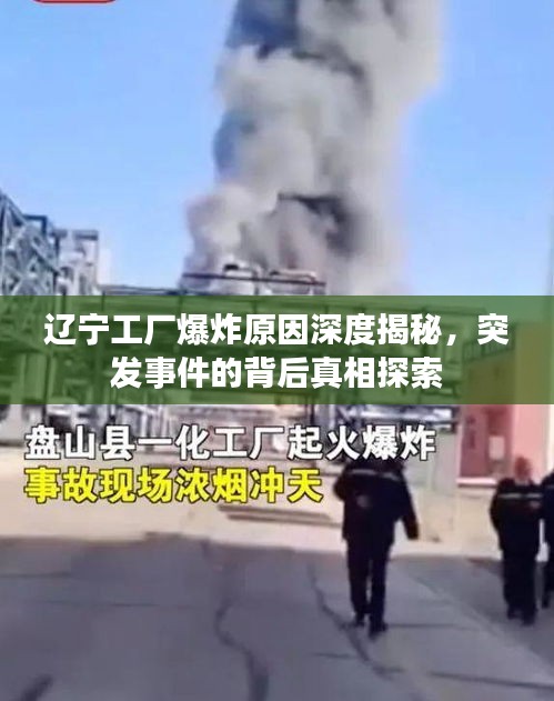 长颈鸟喙 第2页