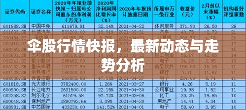 伞股行情快报，最新动态与走势分析