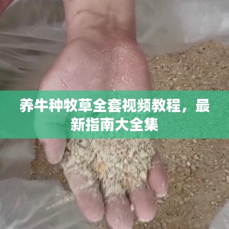 养牛种牧草全套视频教程，最新指南大全集