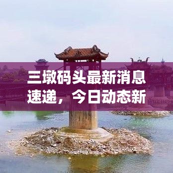三墩码头最新消息速递，今日动态新闻一览