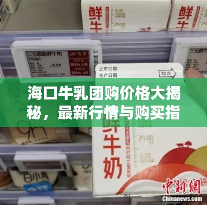 海口牛乳团购价格大揭秘，最新行情与购买指南