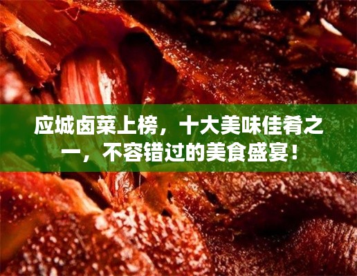 应城卤菜上榜，十大美味佳肴之一，不容错过的美食盛宴！