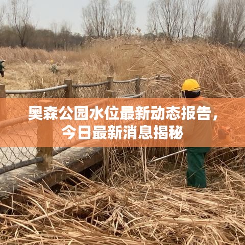 奥森公园水位最新动态报告，今日最新消息揭秘