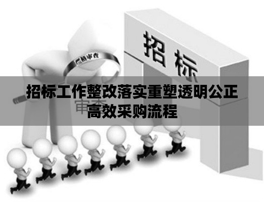 招标工作整改落实重塑透明公正高效采购流程