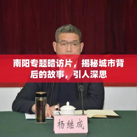 南阳专题暗访片，揭秘城市背后的故事，引人深思