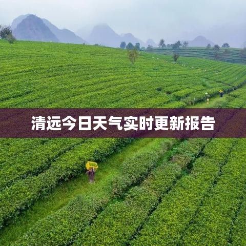 清远今日天气实时更新报告