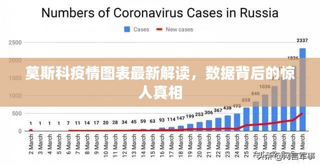莫斯科疫情图表最新解读，数据背后的惊人真相