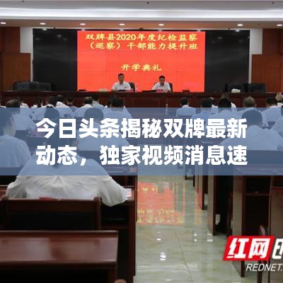 鸟惊鱼骇 第2页