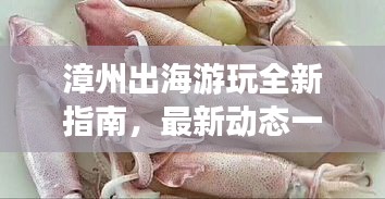 漳州出海游玩全新指南，最新动态一网打尽！