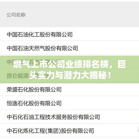 燃气上市公司业绩排名榜，巨头实力与潜力大揭秘！