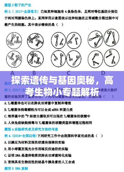 探索遗传与基因奥秘，高考生物小专题解析