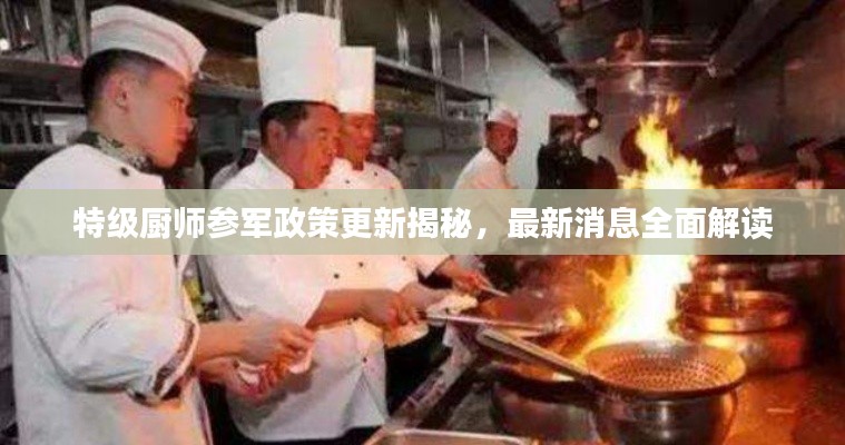 特级厨师参军政策更新揭秘，最新消息全面解读