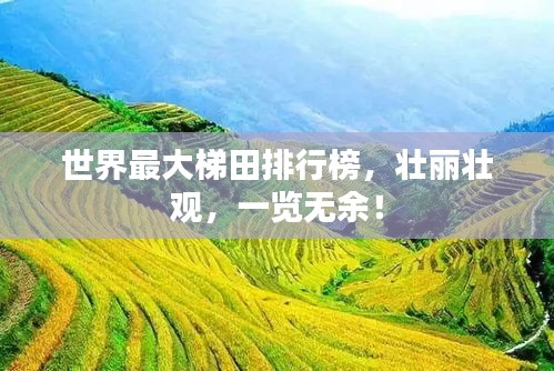 世界最大梯田排行榜，壮丽壮观，一览无余！