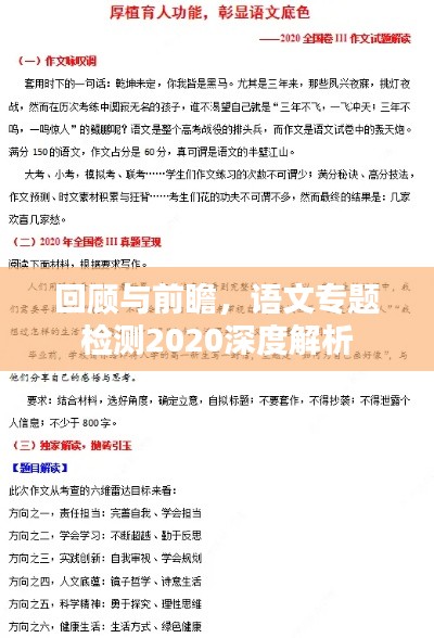 回顾与前瞻，语文专题检测2020深度解析