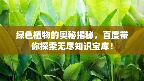 绿色植物的奥秘揭秘，百度带你探索无尽知识宝库！