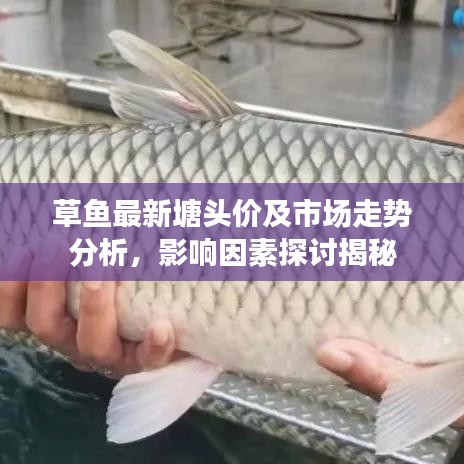 择善而从 第2页