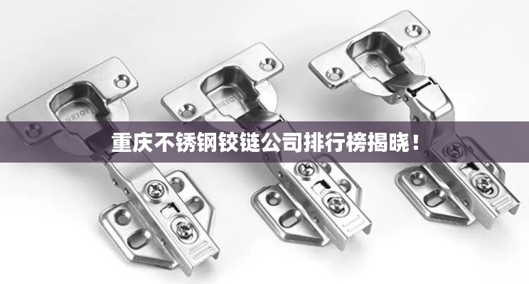 重庆不锈钢铰链公司排行榜揭晓！