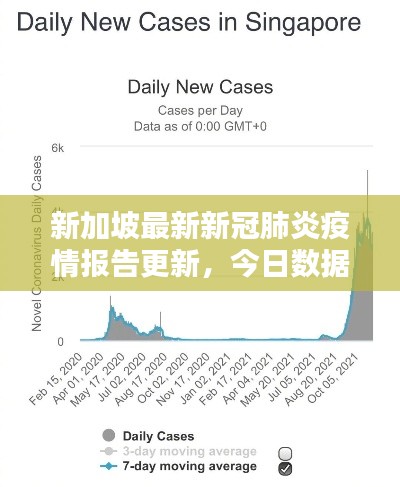 新加坡最新新冠肺炎疫情报告更新，今日数据一览