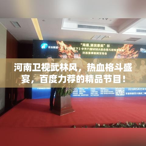 河南卫视武林风，热血格斗盛宴，百度力荐的精品节目！