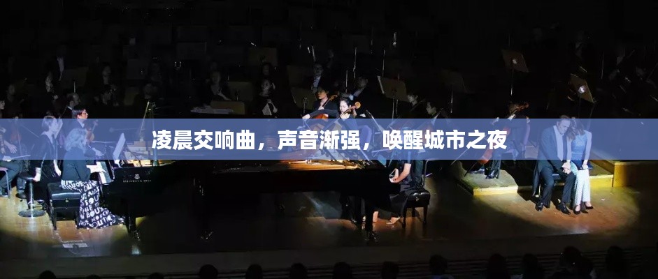 凌晨交响曲，声音渐强，唤醒城市之夜