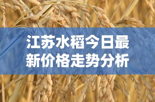 江苏水稻今日最新价格走势分析
