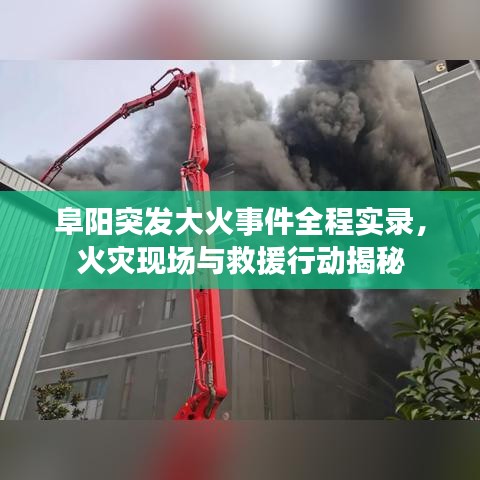 阜阳突发大火事件全程实录，火灾现场与救援行动揭秘
