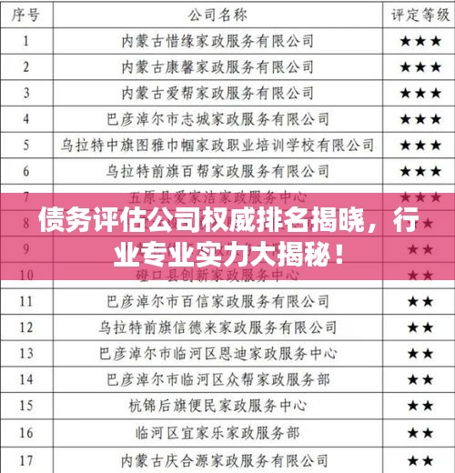 债务评估公司权威排名揭晓，行业专业实力大揭秘！